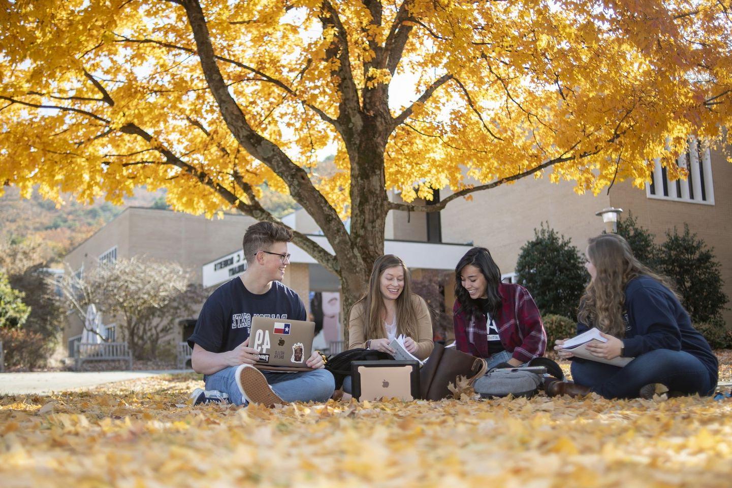 4 Students under the tree at Dalton State College